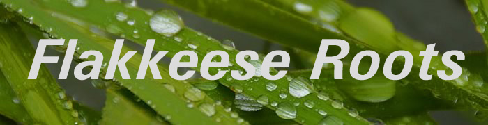 Flakkeese Roots